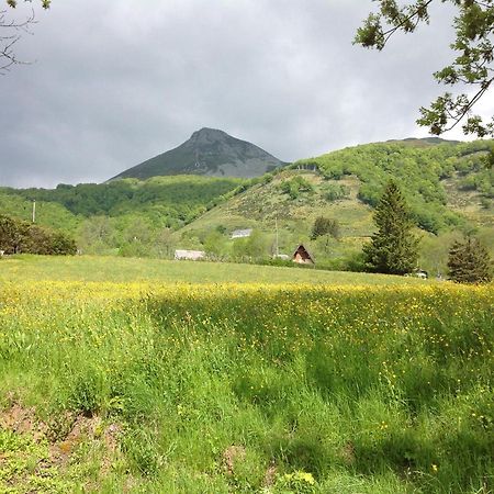 Chalet Avec Vue Panoramique Sur Le Plomb Du Cantal Villa Saint-Jacques-des-Blats Ngoại thất bức ảnh