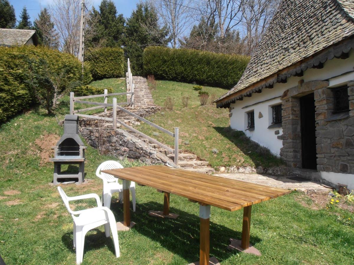 Chalet Avec Vue Panoramique Sur Le Plomb Du Cantal Villa Saint-Jacques-des-Blats Ngoại thất bức ảnh