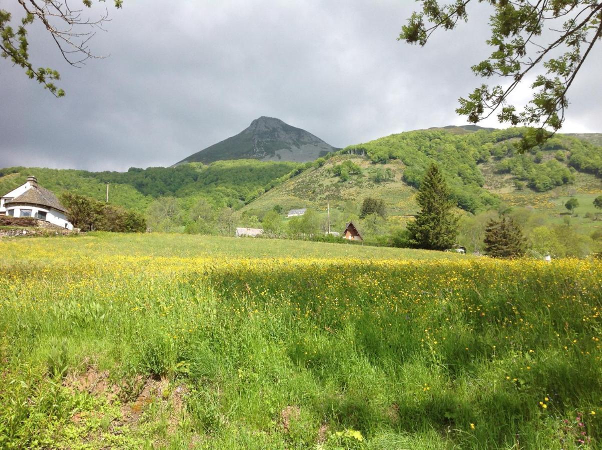 Chalet Avec Vue Panoramique Sur Le Plomb Du Cantal Villa Saint-Jacques-des-Blats Ngoại thất bức ảnh