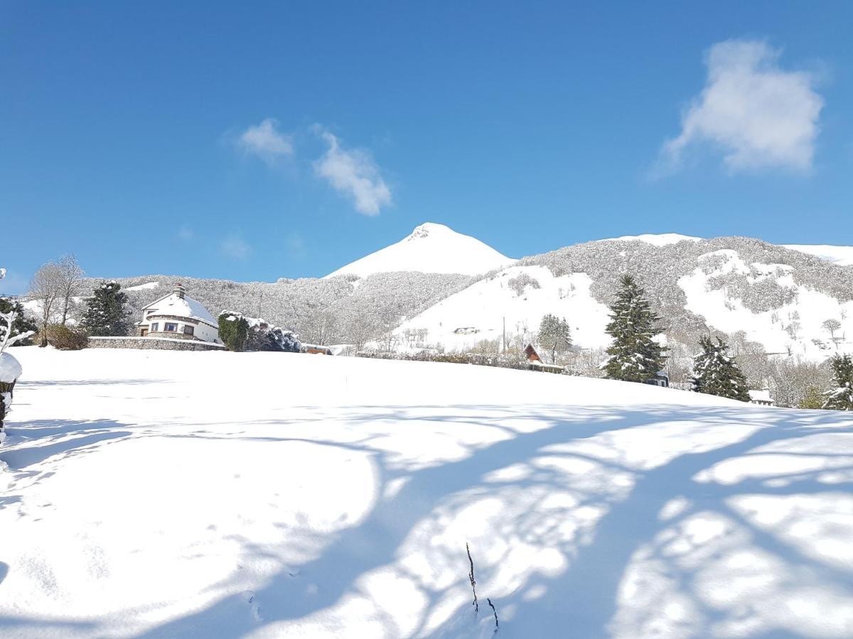 Chalet Avec Vue Panoramique Sur Le Plomb Du Cantal Villa Saint-Jacques-des-Blats Ngoại thất bức ảnh