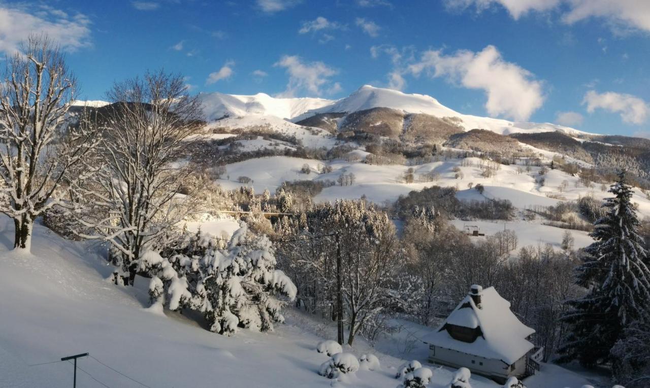 Chalet Avec Vue Panoramique Sur Le Plomb Du Cantal Villa Saint-Jacques-des-Blats Ngoại thất bức ảnh