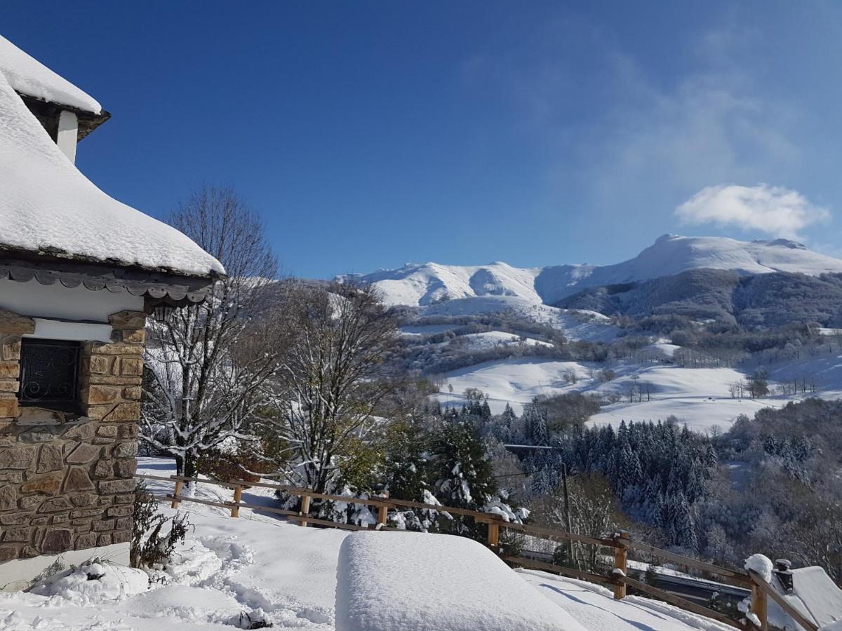 Chalet Avec Vue Panoramique Sur Le Plomb Du Cantal Villa Saint-Jacques-des-Blats Ngoại thất bức ảnh