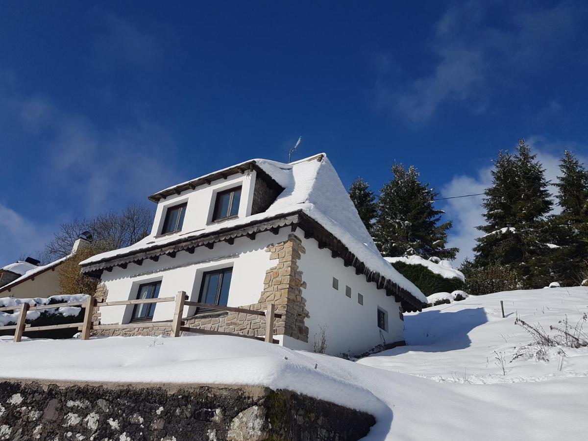 Chalet Avec Vue Panoramique Sur Le Plomb Du Cantal Villa Saint-Jacques-des-Blats Ngoại thất bức ảnh