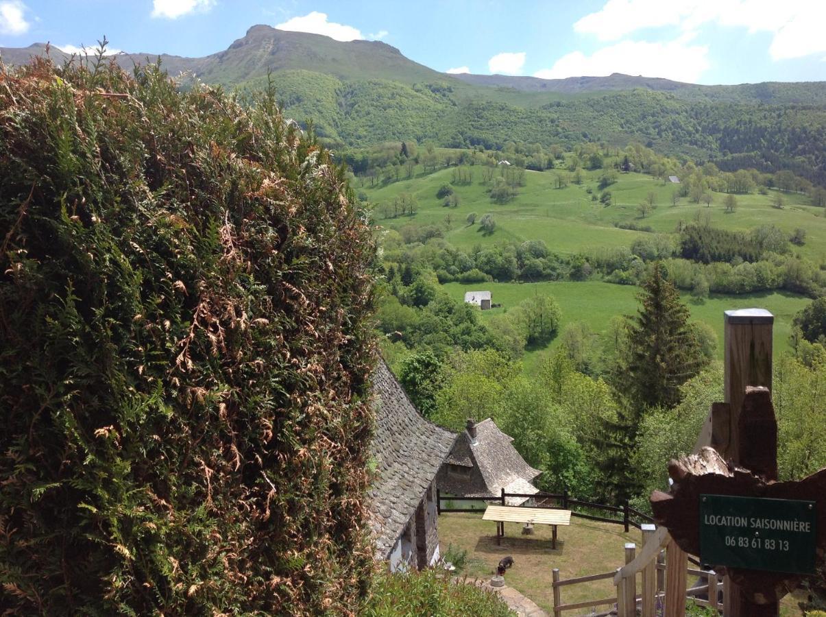 Chalet Avec Vue Panoramique Sur Le Plomb Du Cantal Villa Saint-Jacques-des-Blats Ngoại thất bức ảnh