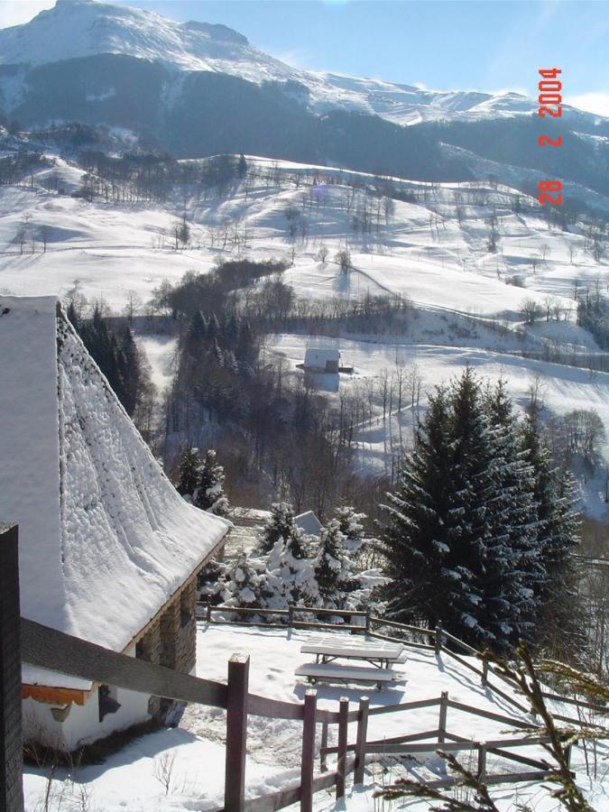 Chalet Avec Vue Panoramique Sur Le Plomb Du Cantal Villa Saint-Jacques-des-Blats Ngoại thất bức ảnh