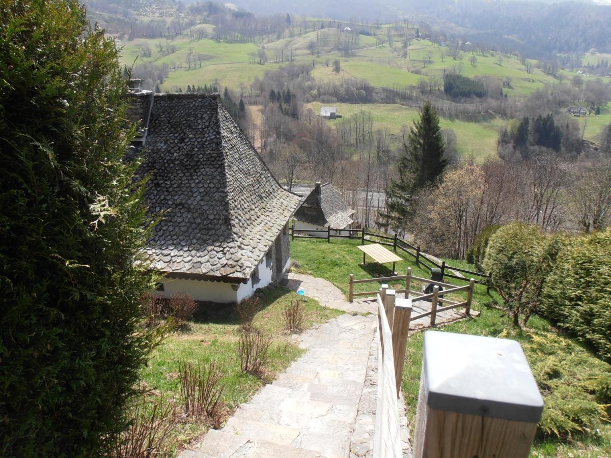 Chalet Avec Vue Panoramique Sur Le Plomb Du Cantal Villa Saint-Jacques-des-Blats Ngoại thất bức ảnh