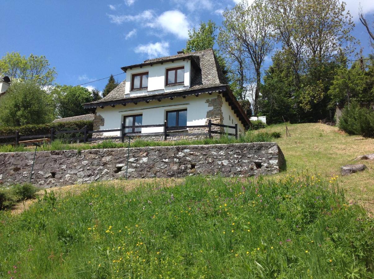 Chalet Avec Vue Panoramique Sur Le Plomb Du Cantal Villa Saint-Jacques-des-Blats Ngoại thất bức ảnh