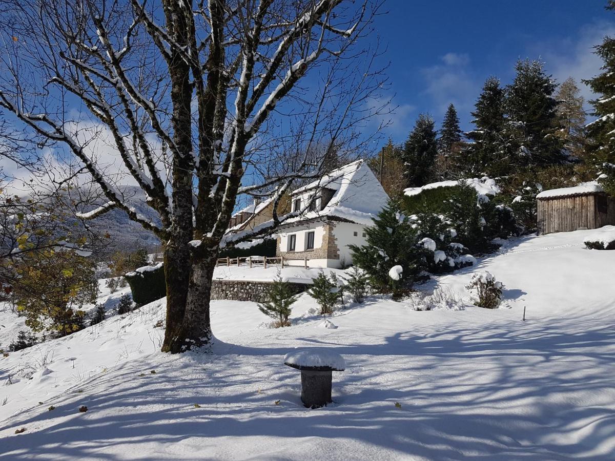 Chalet Avec Vue Panoramique Sur Le Plomb Du Cantal Villa Saint-Jacques-des-Blats Ngoại thất bức ảnh