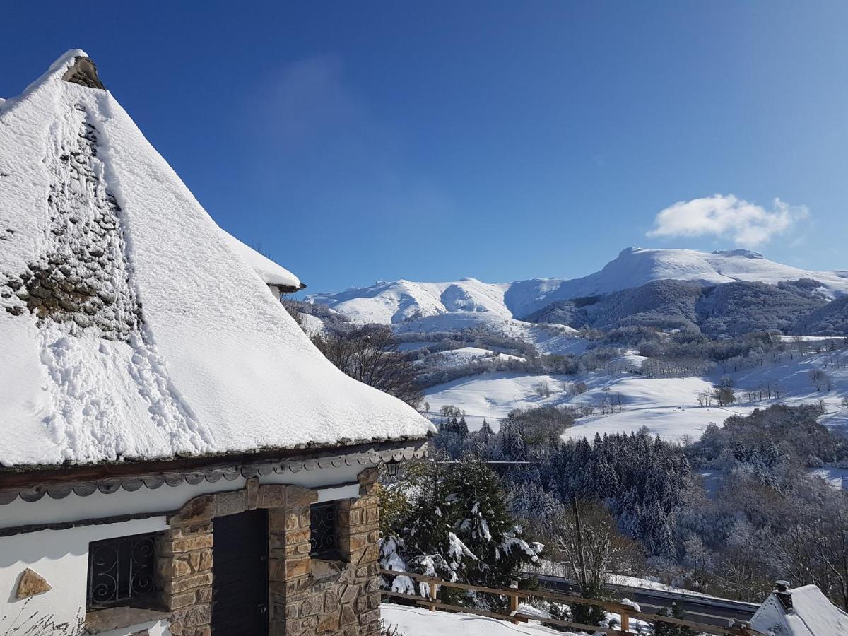 Chalet Avec Vue Panoramique Sur Le Plomb Du Cantal Villa Saint-Jacques-des-Blats Ngoại thất bức ảnh