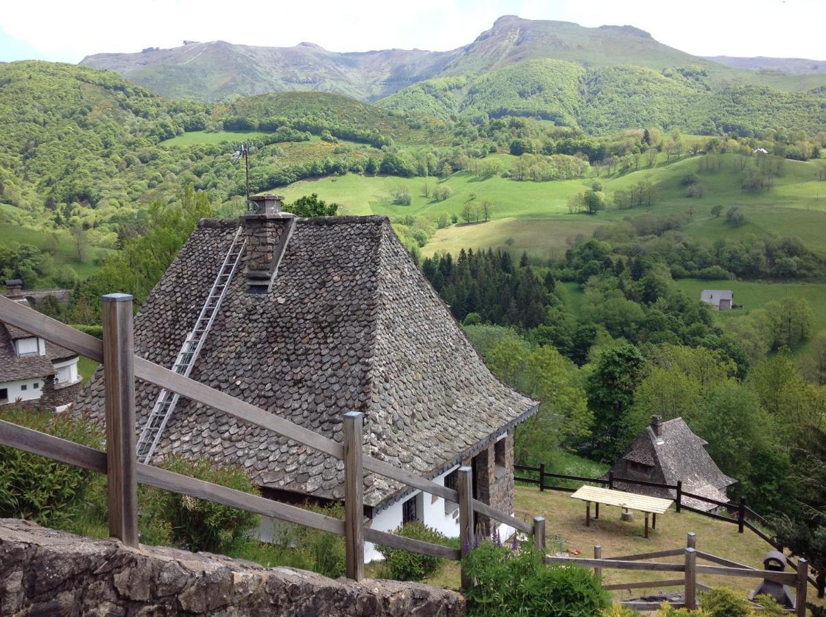 Chalet Avec Vue Panoramique Sur Le Plomb Du Cantal Villa Saint-Jacques-des-Blats Ngoại thất bức ảnh