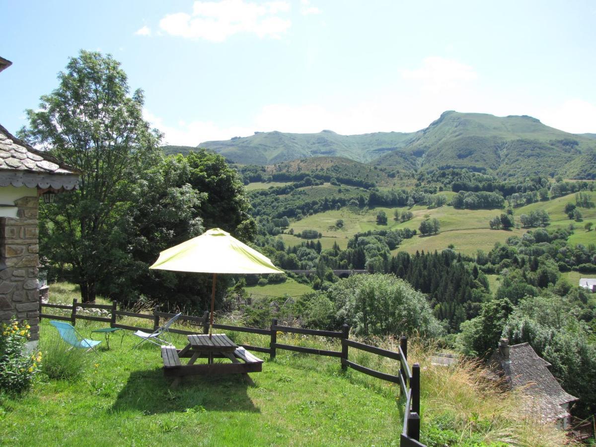 Chalet Avec Vue Panoramique Sur Le Plomb Du Cantal Villa Saint-Jacques-des-Blats Ngoại thất bức ảnh