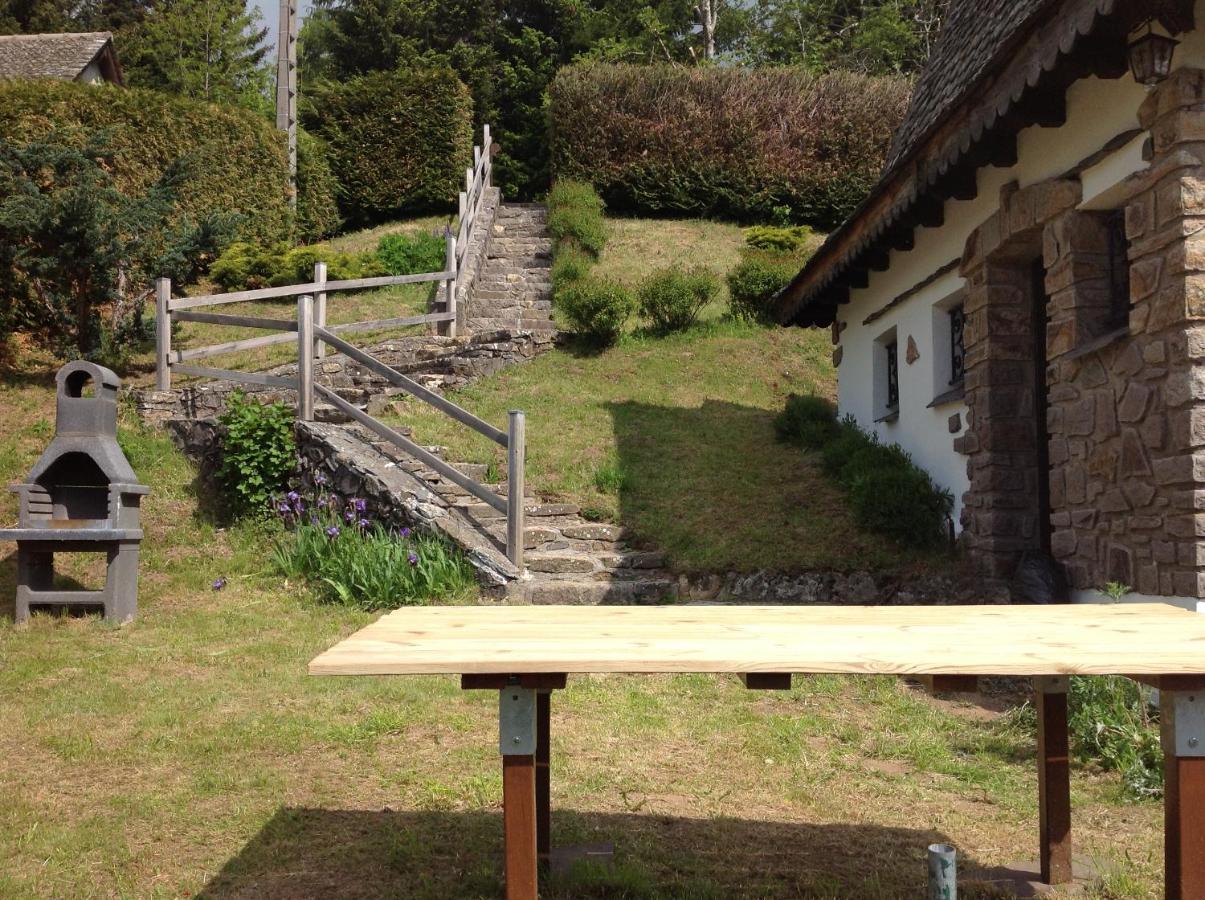 Chalet Avec Vue Panoramique Sur Le Plomb Du Cantal Villa Saint-Jacques-des-Blats Ngoại thất bức ảnh